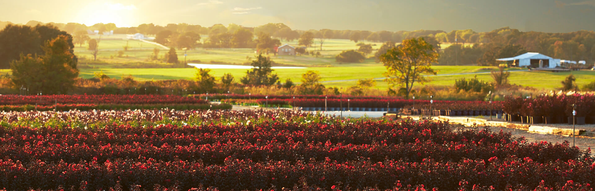 Creating Beauty That Inspires J Berry Nursery Creating Beauty That Inspires J Berry Nursery