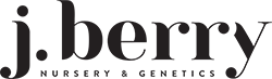 jberrynursery.com logo