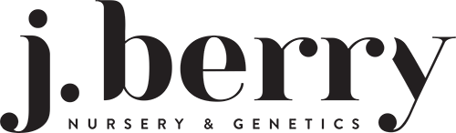 j Berry Genetics Gardening