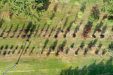 Multiple Varieties And Misc