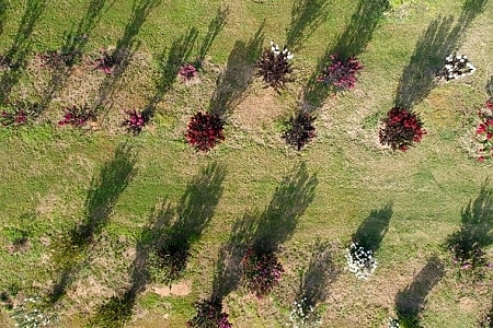 Multiple Varieties And Misc