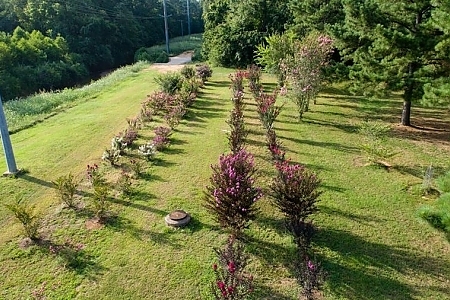Multiple Varieties And Misc