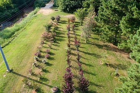 Multiple Varieties And Misc