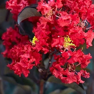 H5aa6cUd_Easy-Resize.com
