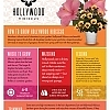 HollywoodHibiscus-CareSheet-Aug22_Page1