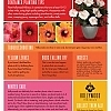 HollywoodHibiscus-CareSheet-Aug22_Page2