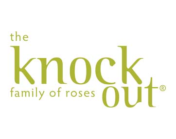 Knock Out<sup>®</sup> Roses