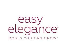 Easy Elegance<sup>®</sup> Roses