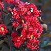 jodA9d9r_Easy-Resize.com